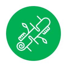 緑の工務店京都府産木材の家